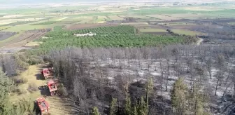 Tekirdağ ve Çanakkale'de Orman Yangını: Dronla Görüntülendi