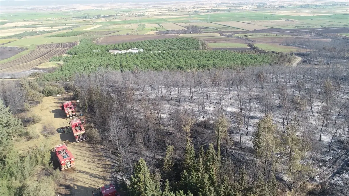 Tekirdağ ve Çanakkale'de Orman Yangını: Dronla Görüntülendi