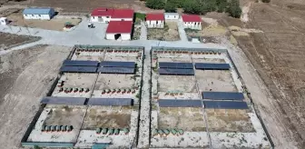 Kapaklı Belediyesi Doğal Yaşam Alanı İçin Ruhsat Aldı