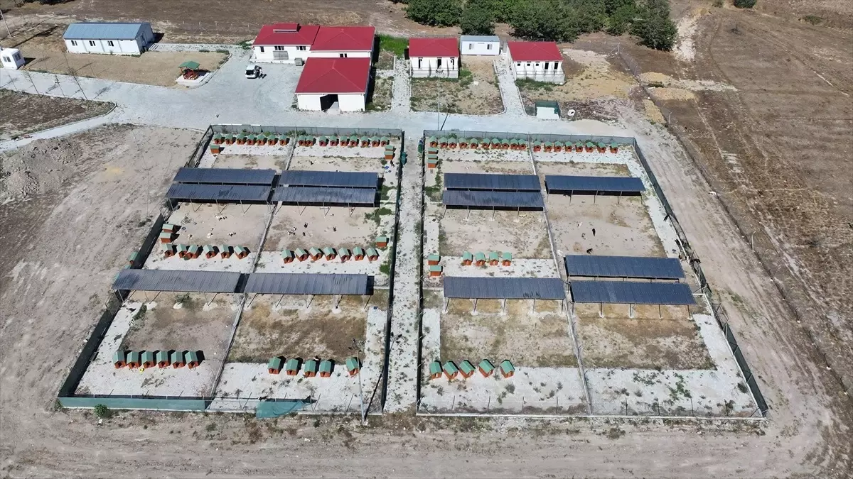 Kapaklı Belediyesi Doğal Yaşam Alanı İçin Ruhsat Aldı