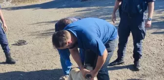 Kapaklı'da Devlet Hastanesi Hasta Kabulüne Başladı