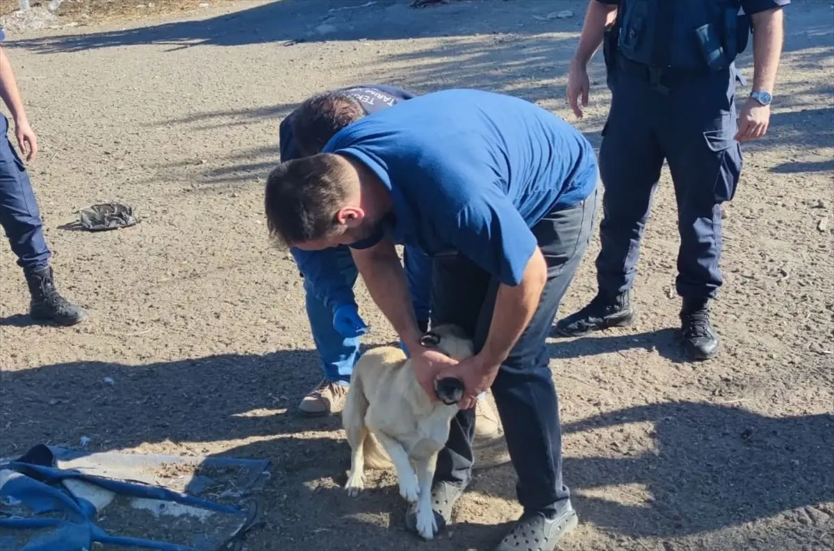 Kapaklı'da Devlet Hastanesi Hasta Kabulüne Başladı