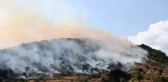 Tekirdağ'da Orman Yangınına Havadan ve Karadan Müdahale