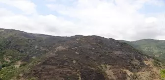 Tekirdağ'daki Orman Yangını Kontrol Altına Alındı