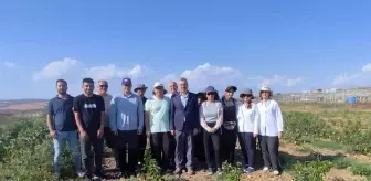 Rektör Şahin, Ziraat Fakültesi Çiftliğinde İncelemelerde Bulundu