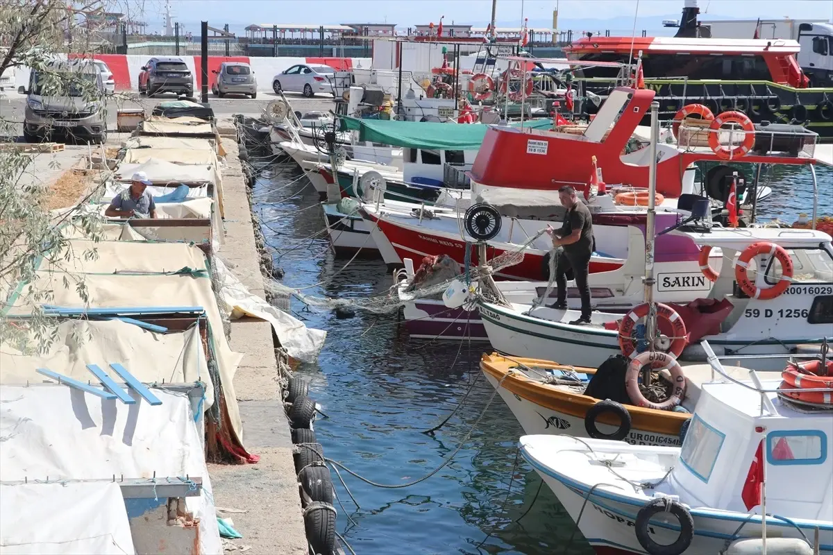 Tekirdağlı Balıkçılar Av Yasağının Bitmesiyle Marmara'ya Açıldı