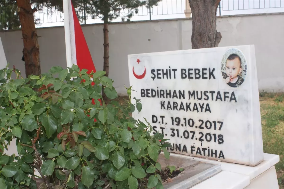 Teröristlerin katlettiği şehit Bedirhan bebek ve annesi Sivas'ta anıldı