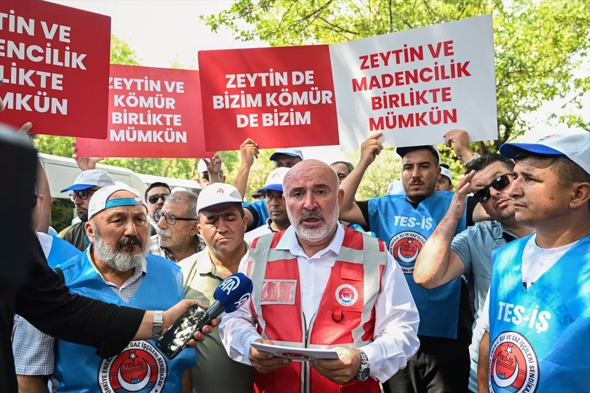 TES-İŞ ile Muğlalı işçilerden enerji ve maden düzenlemesine destek açıklaması