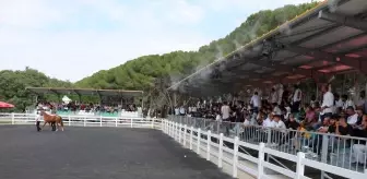 TİGEM, e-satış ile 68 taydan 45 milyon lira gelir elde etti