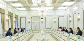 TİHEK Başkanı Fahrettin Altun, Azerbaycan'da Görüşmelerde Bulundu