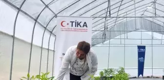 TİKA, Azerbaycan'da Modern Sera Kurdu