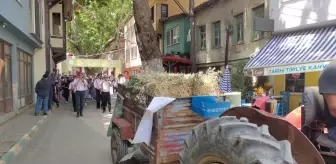 Mudanya'da İlk Kez 'Tirilye Zeytin Çiçeği Festivali' Başladı