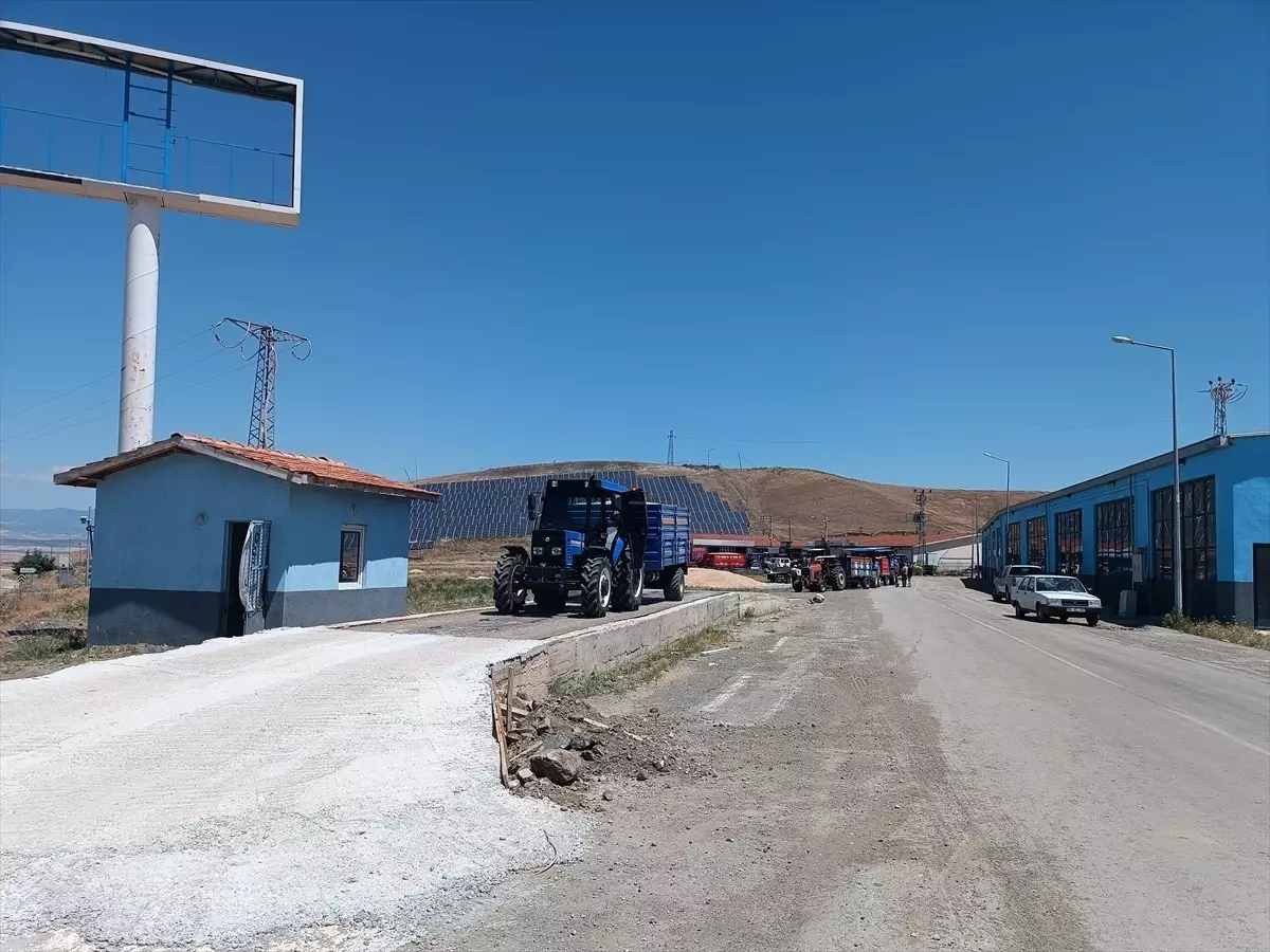 TMO, Çorum Uğurludağ'da Hububat Alımına Başladı