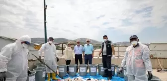 Tokat Belediyesi Atık Yönetimi İçin Yeni Çalışmalara Başladı