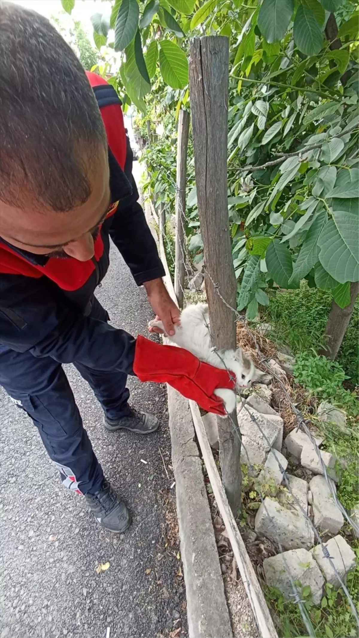 Niksar'da Sıkışan Kedi İtfaiye Ekipleri Tarafından Kurtarıldı