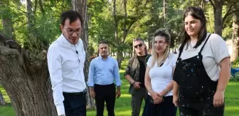 Tokat'ta Gümenek Mesire Alanı'nda Yenileme Çalışmaları Devam Ediyor