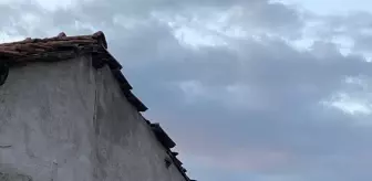 Zile'de Mahsur Kalan Kedi İtfaiye Tarafından Kurtarıldı