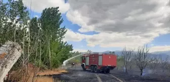 Tokat'ta Anız Yangını: 50 Dönüm Alan Zarar Gördü