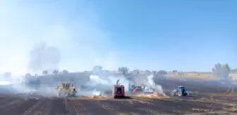 Tokat'ta Anız Yangını: 250 Dönüm Alan Zarar Gördü
