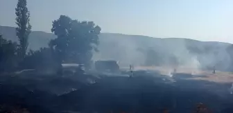 Tokat'ta Anız Yangını: 5 Dönüm Alan Zarar Gördü