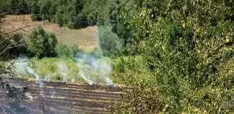 Tokat'ta Anız Yangını: 6 Dönüm Arazi Zarar Gördü
