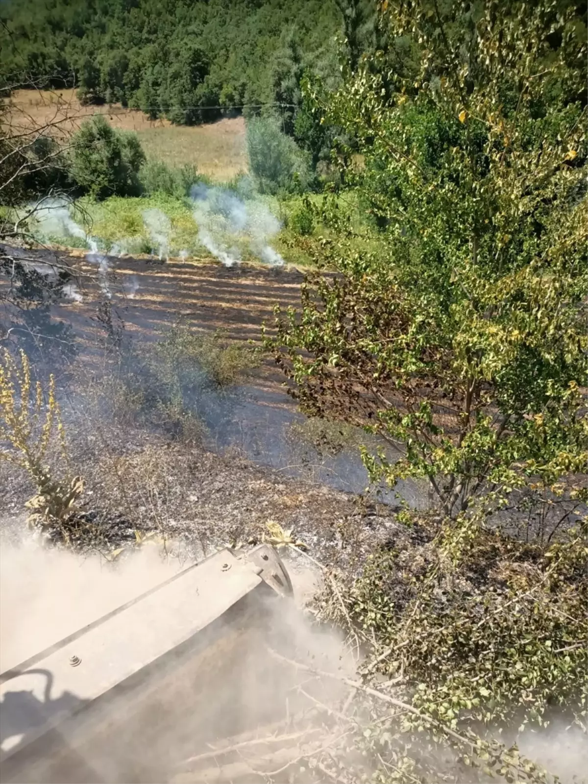 Tokat'ta Anız Yangını: 6 Dönüm Arazi Zarar Gördü