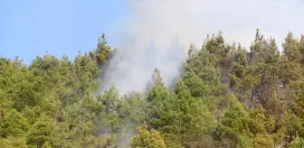 Tokat'ta Orman Yangını Kontrol Altına Alındı