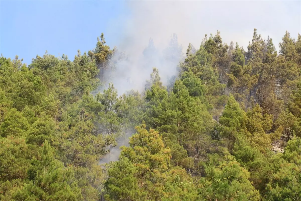 Tokat'ta Orman Yangını Kontrol Altına Alındı