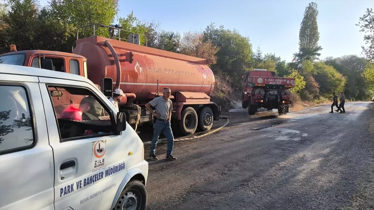 Tokat'ta Orman Yangını Kontrol Altına Alındı