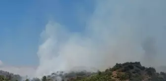 Tokat'ta Orman Yangınına Müdahale Ediliyor