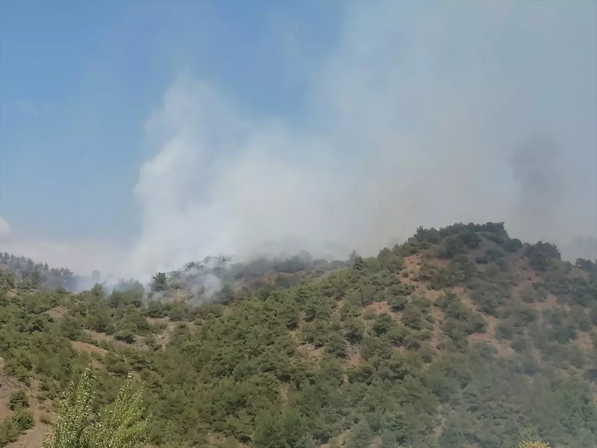 Tokat'ta Orman Yangınına Müdahale Ediliyor