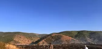 Tokat'ta Orman Yangını Kontrol Altına Alındı