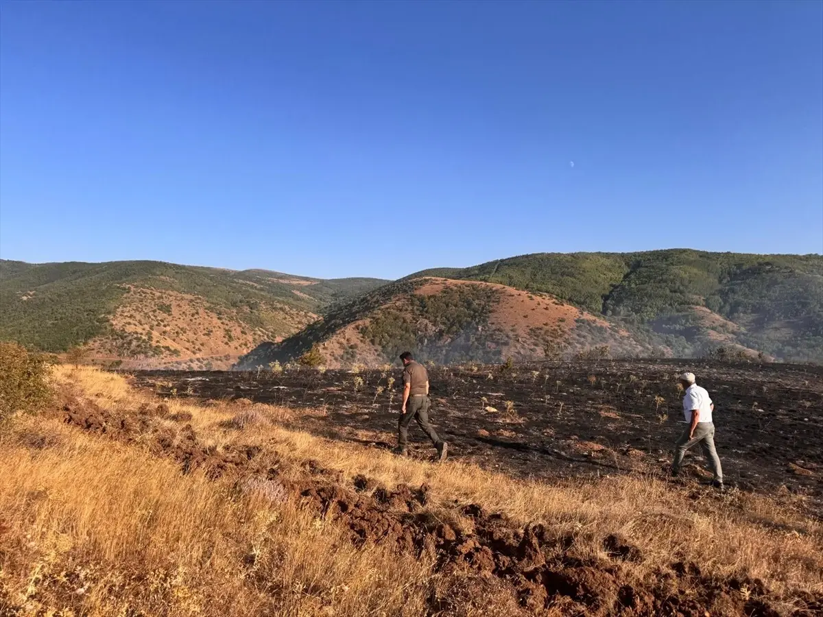 Tokat'ta Orman Yangını Kontrol Altına Alındı