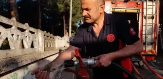 Tokat Erbaa'da Çıkan Yangında 3 Ev Hasar Gördü, Kuş Kurtarıldı