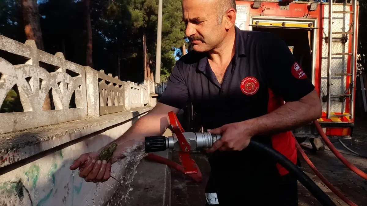 Tokat Erbaa'da Çıkan Yangında 3 Ev Hasar Gördü, Kuş Kurtarıldı