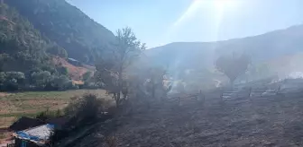 Tokat'ta Arazi Yangını: 10 Dönüm Zarar Gördü