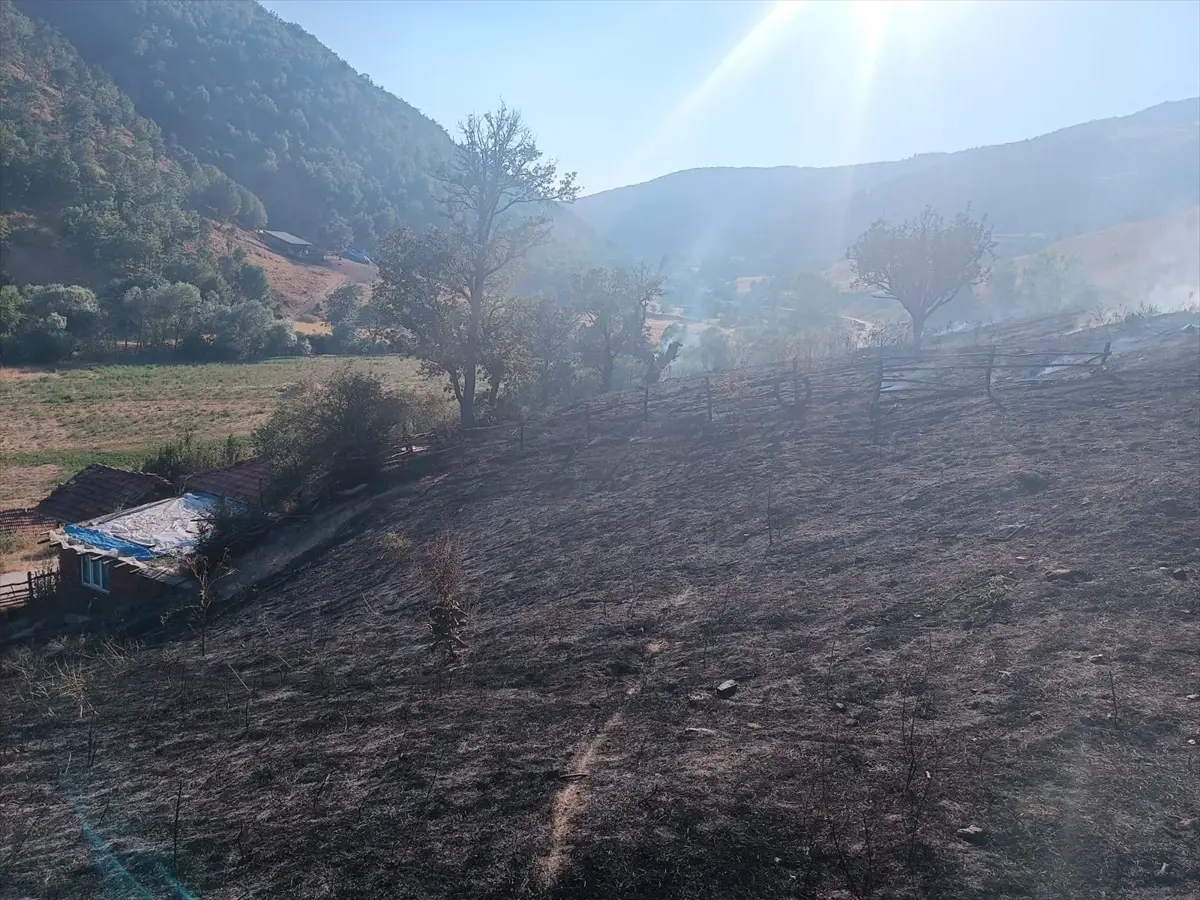Tokat'ta Arazi Yangını: 10 Dönüm Zarar Gördü