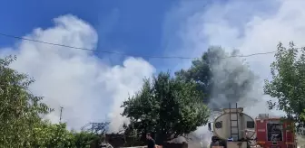 Tokat'ta Yangın: 7 Büyükbaş Hayvan Hayatını Kaybetti