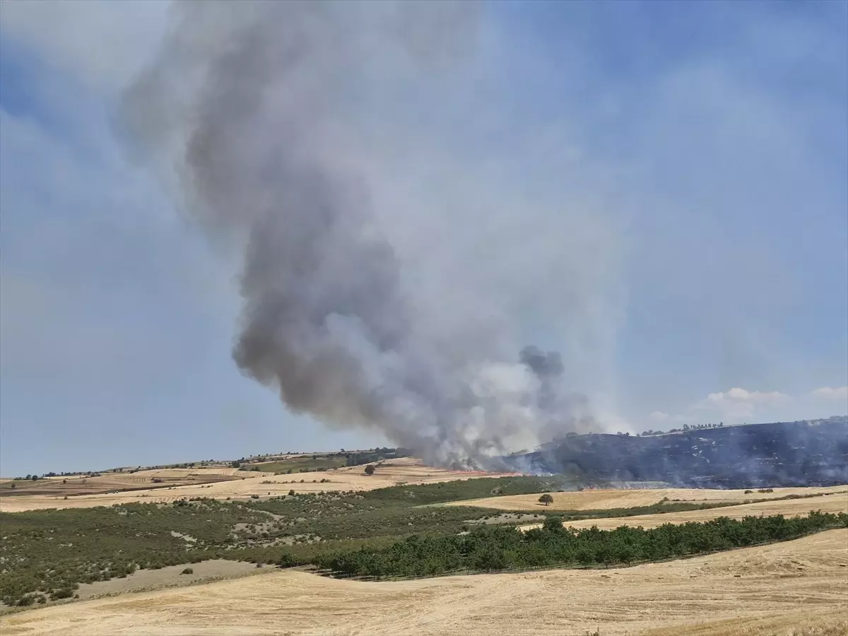 Tokat'ta Yangın: 250 Dekar Ekim Alanı Zarar Gördü