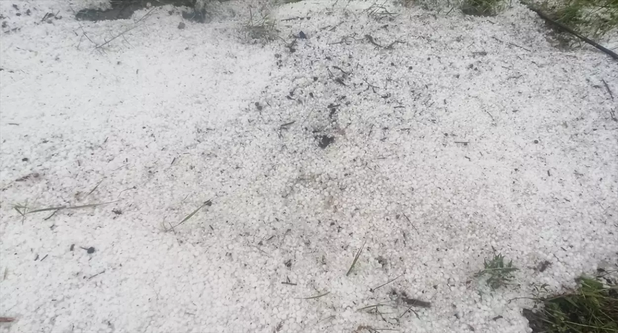 Yeşilyurt'ta Dolu Yağışı Tarımı Olumsuz Etkiledi
