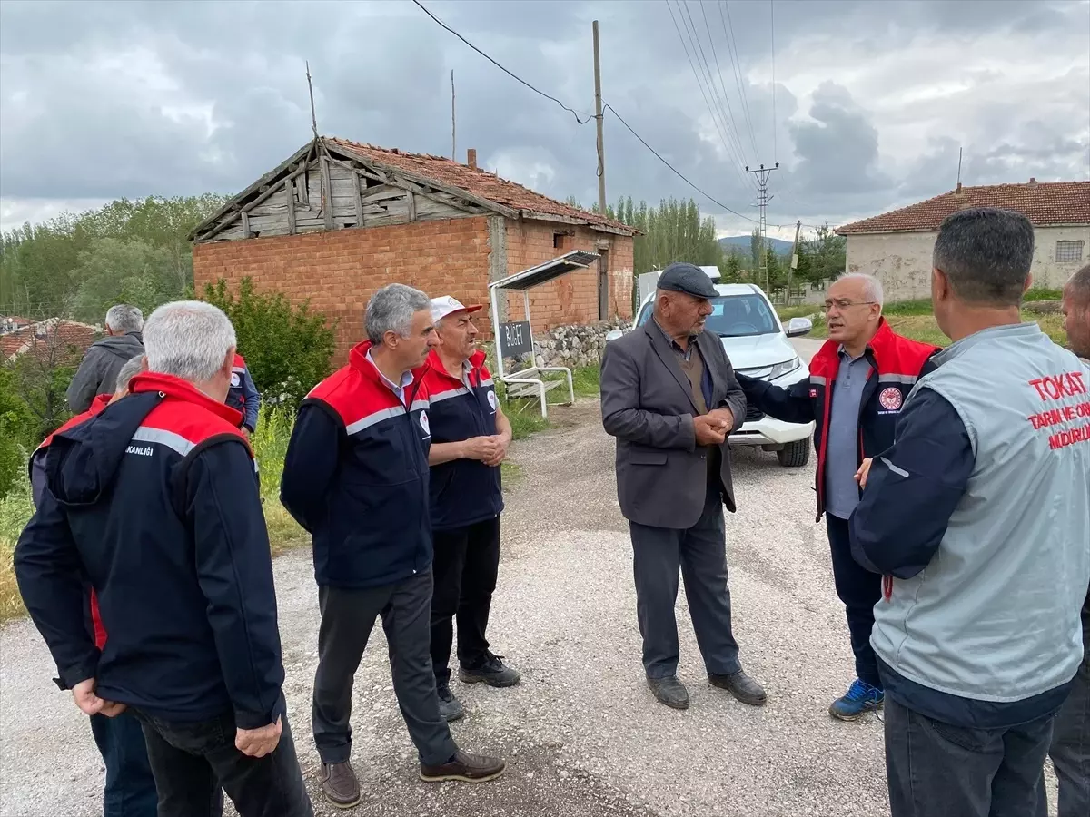 Tokat'ta Dolu Yağışı Sonrası Hasar Tespit Çalışmaları Başladı