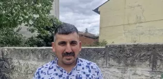 Erbaa'da Kereste Fabrikasında İki Tilki Görüntülendi