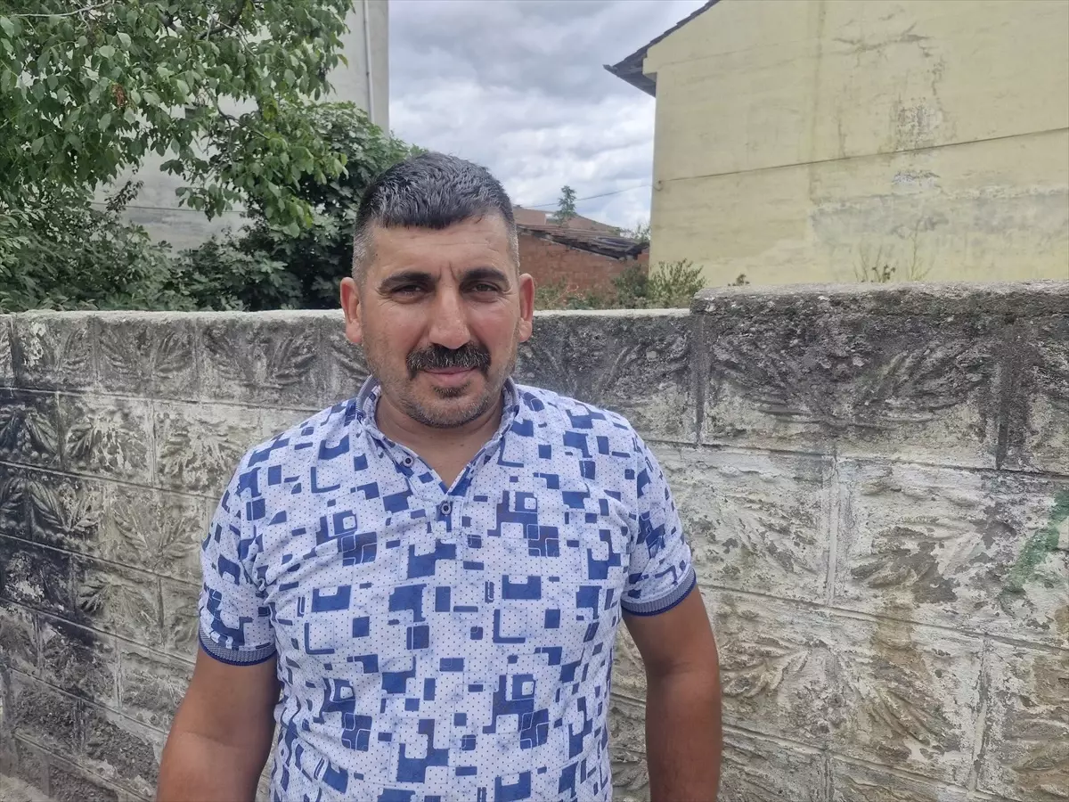 Erbaa'da Kereste Fabrikasında İki Tilki Görüntülendi