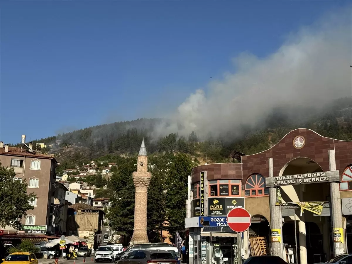 Tokat'ta Orman Yangını Kontrol Altına Alındı