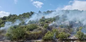 Tokat Niksar'da Orman Yangını Kontrol Altına Alındı