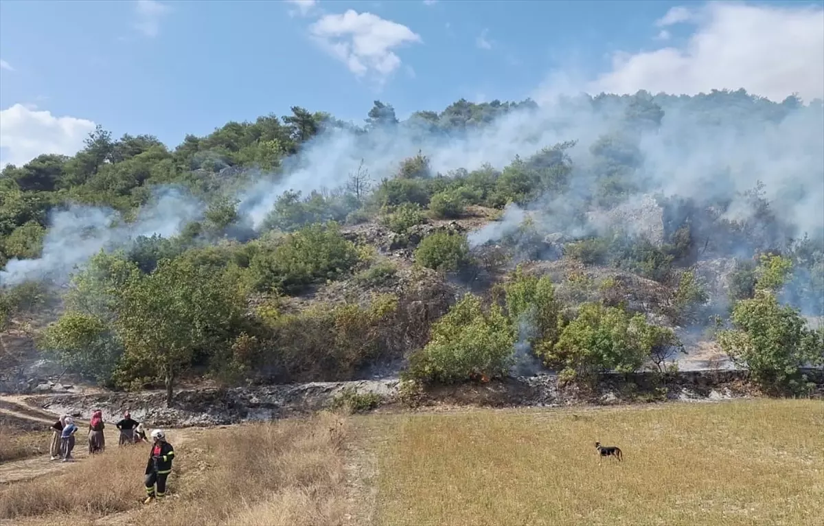 Tokat Niksar'da Orman Yangını Kontrol Altına Alındı