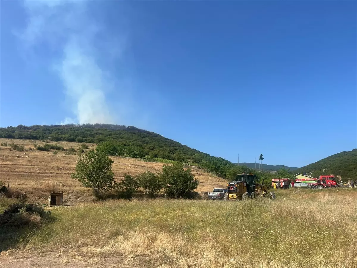 Tokat Niksar'da Orman Yangını Çıktı