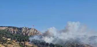 Tokat'ta Orman Yangını