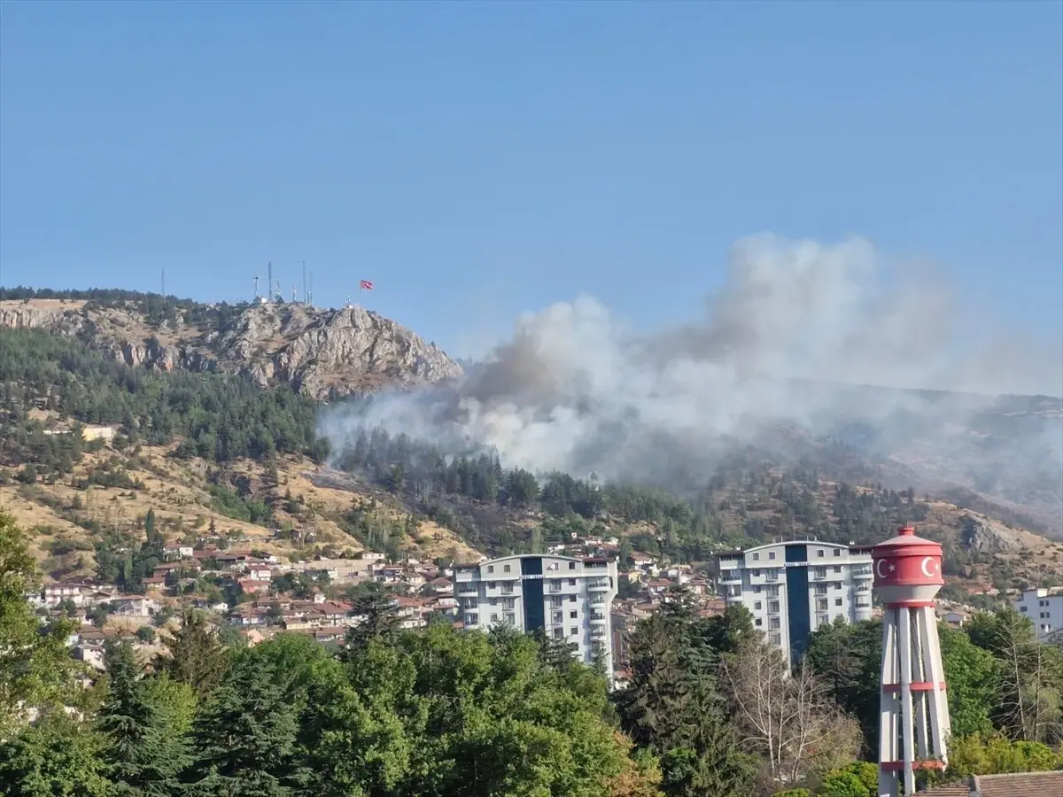 Tokat'ta Orman Yangını