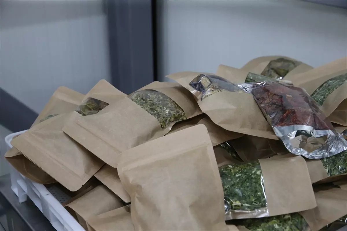 TOGÜ Çiftlik Tarım Ürünleri Kurutma Tesisi Açıldı